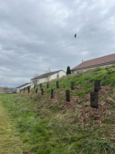 Plantations City stade